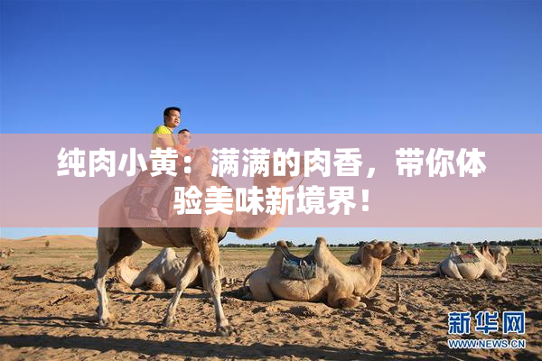 纯肉小黄：满满的肉香，带你体验美味新境界！