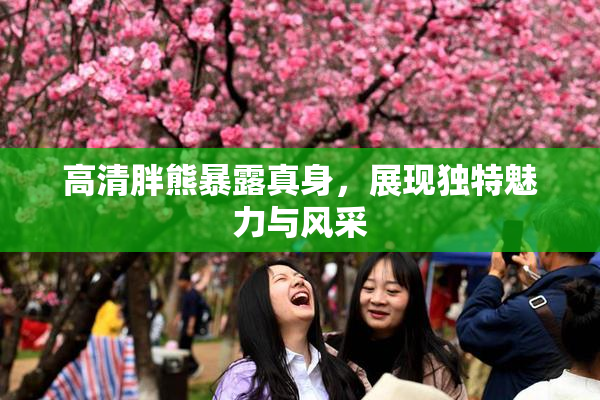 高清胖熊暴露真身，展现独特魅力与风采