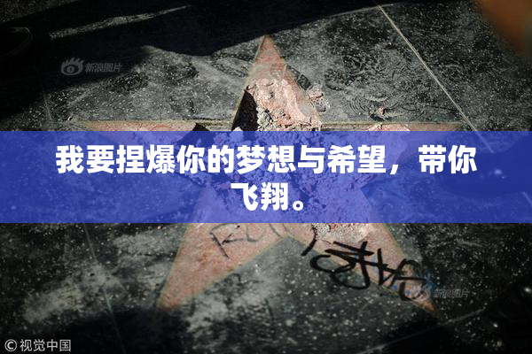 我要捏爆你的梦想与希望，带你飞翔。