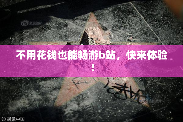 不用花钱也能畅游b站，快来体验！