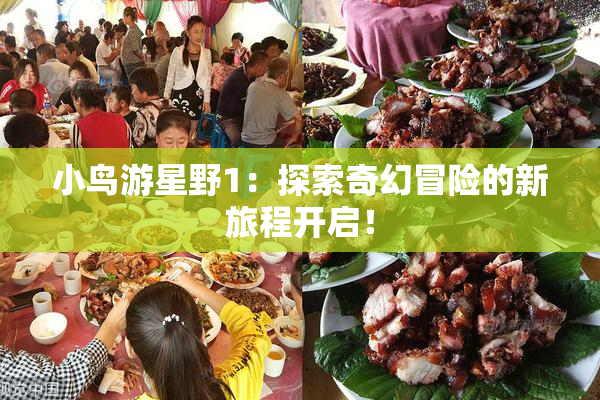 小鸟游星野1：探索奇幻冒险的新旅程开启！