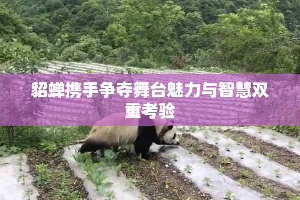貂蝉携手争夺舞台魅力与智慧双重考验