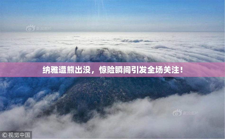 纳雅遭熊出没，惊险瞬间引发全场关注！