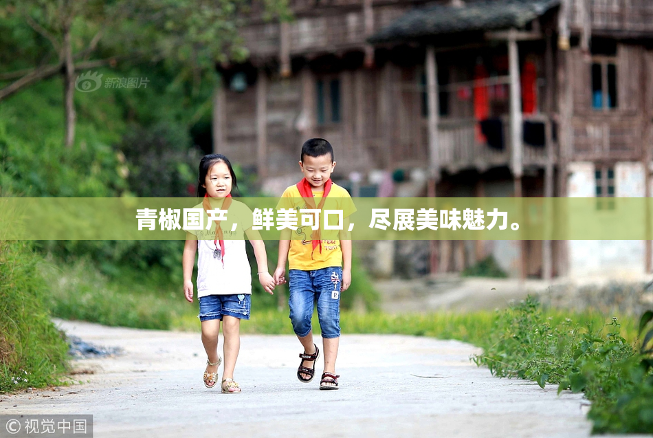 青椒国产，鲜美可口，尽展美味魅力。