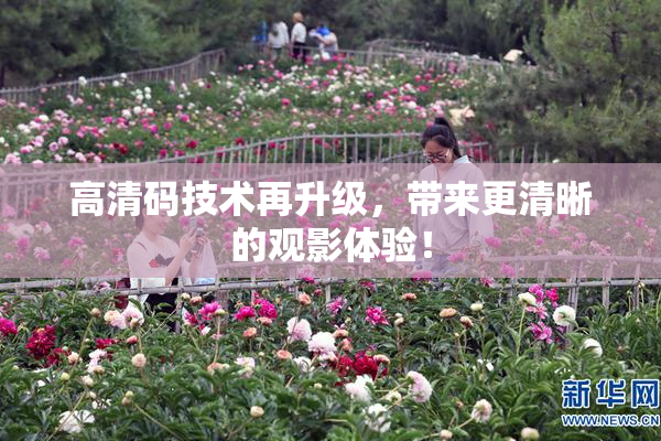 高清码技术再升级，带来更清晰的观影体验！