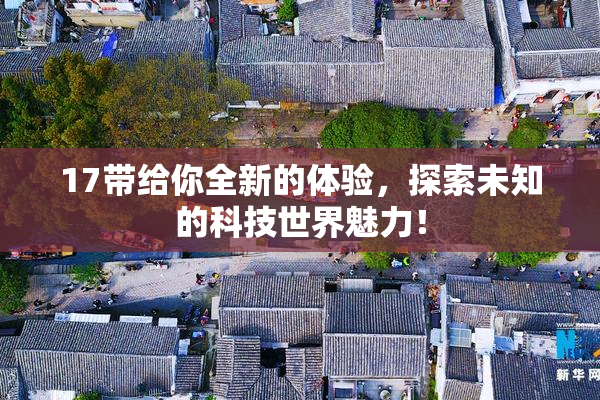 17带给你全新的体验，探索未知的科技世界魅力！