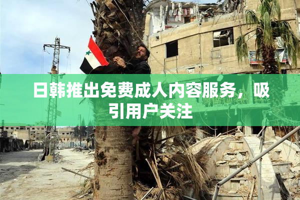 日韩推出免费成人内容服务，吸引用户关注