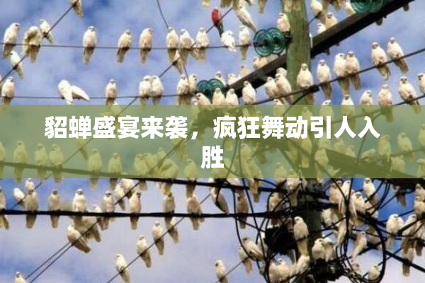 貂蝉盛宴来袭，疯狂舞动引人入胜