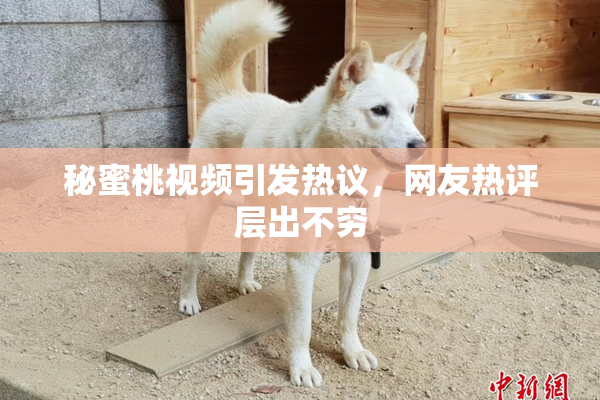 秘蜜桃视频引发热议，网友热评层出不穷