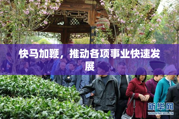 快马加鞭，推动各项事业快速发展