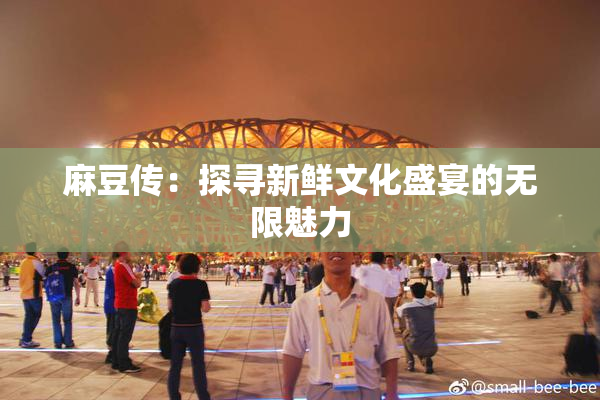 麻豆传：探寻新鲜文化盛宴的无限魅力