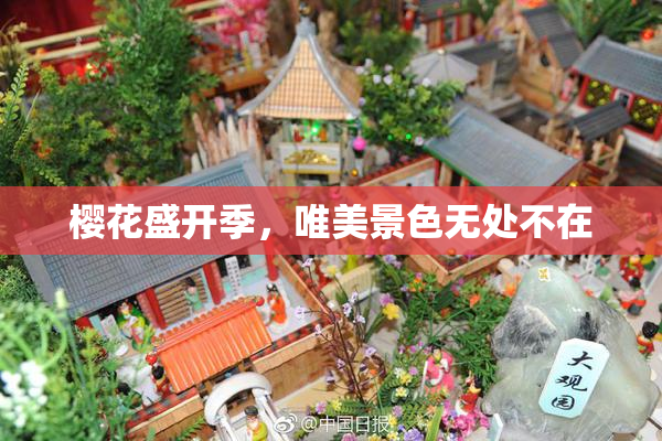 樱花盛开季，唯美景色无处不在