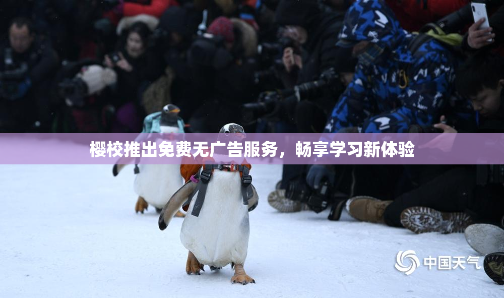 樱校推出免费无广告服务，畅享学习新体验