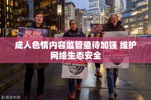 成人色情内容监管亟待加强 维护网络生态安全