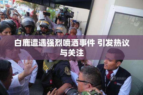 白鹿遭遇强烈喷洒事件 引发热议与关注