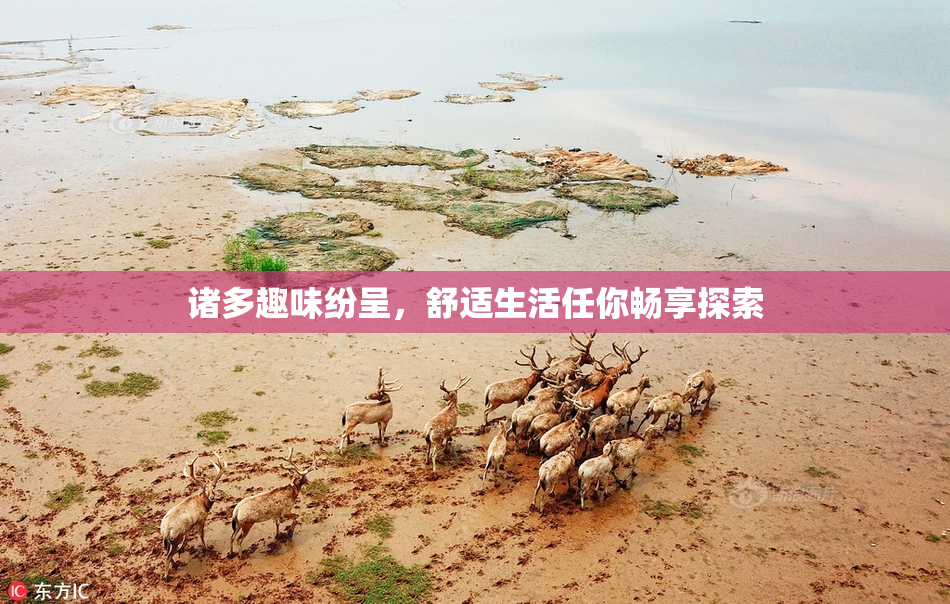 诸多趣味纷呈，舒适生活任你畅享探索