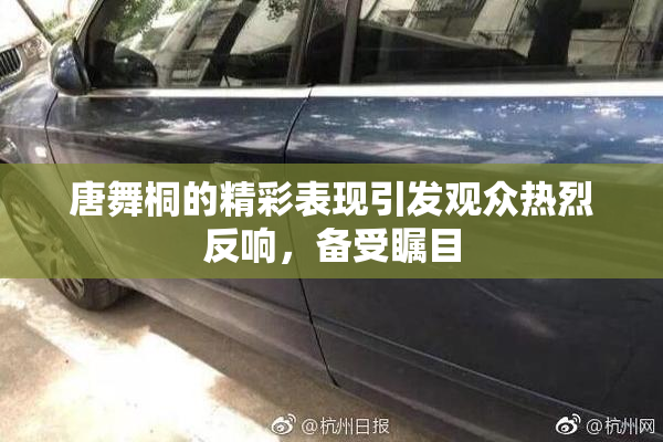 唐舞桐的精彩表现引发观众热烈反响，备受瞩目