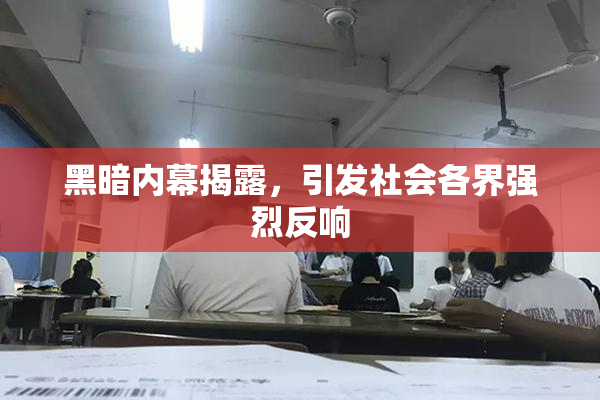 黑暗内幕揭露，引发社会各界强烈反响