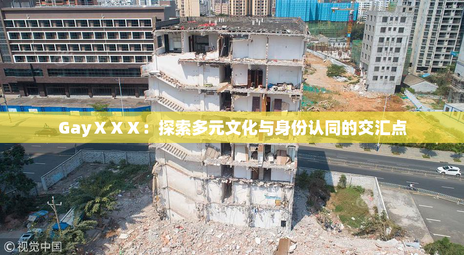 GayⅩⅩⅩ：探索多元文化与身份认同的交汇点
