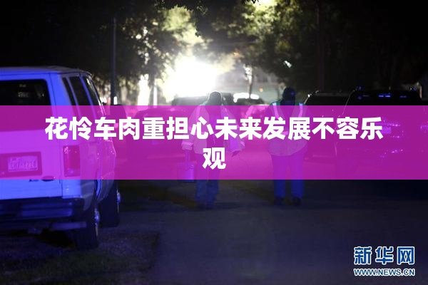 花怜车肉重担心未来发展不容乐观