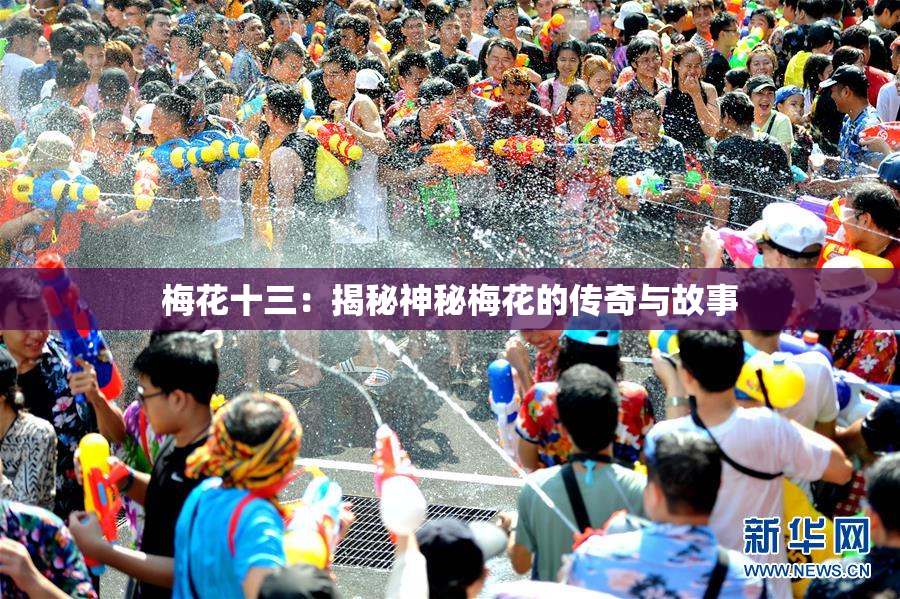 梅花十三：揭秘神秘梅花的传奇与故事