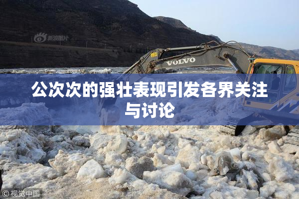 公次次的强壮表现引发各界关注与讨论