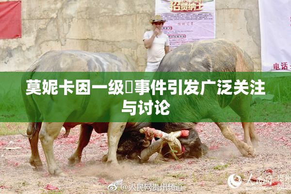 莫妮卡因一级婬事件引发广泛关注与讨论