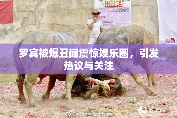 罗宾被爆丑闻震惊娱乐圈，引发热议与关注