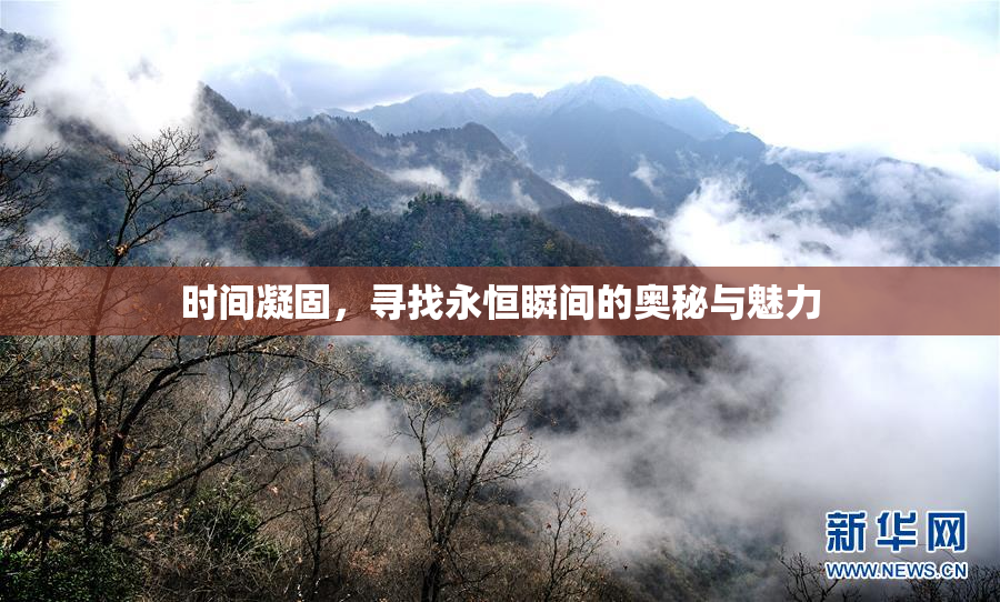 时间凝固，寻找永恒瞬间的奥秘与魅力