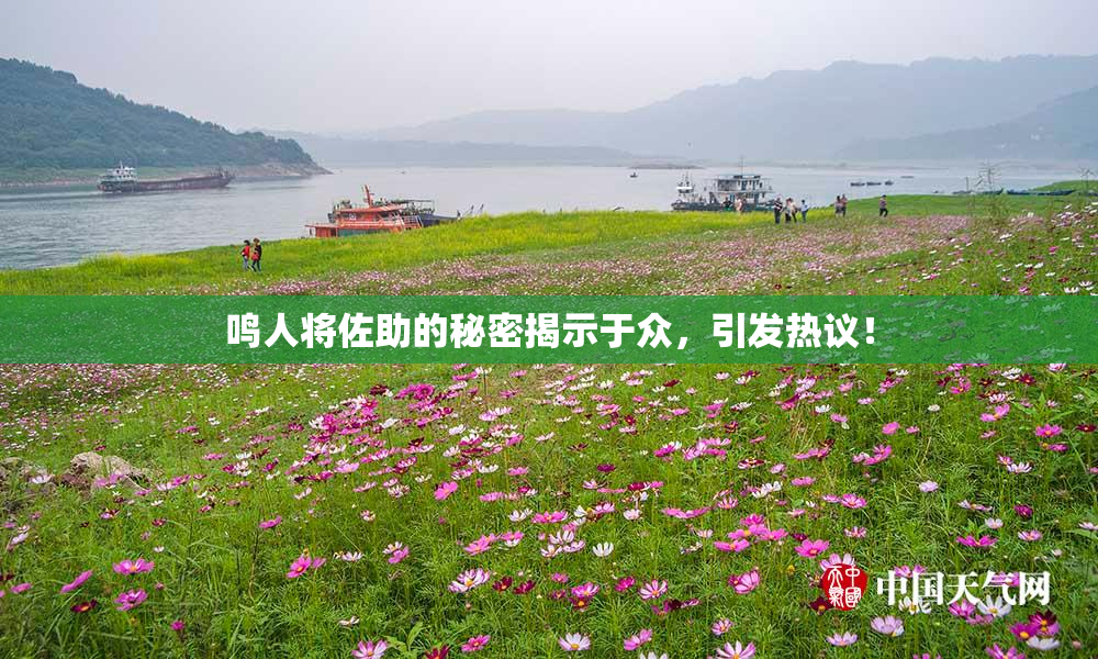 鸣人将佐助的秘密揭示于众，引发热议！
