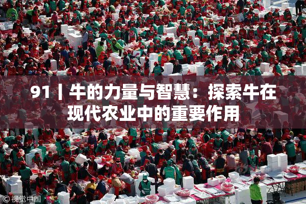 91丨牛的力量与智慧：探索牛在现代农业中的重要作用