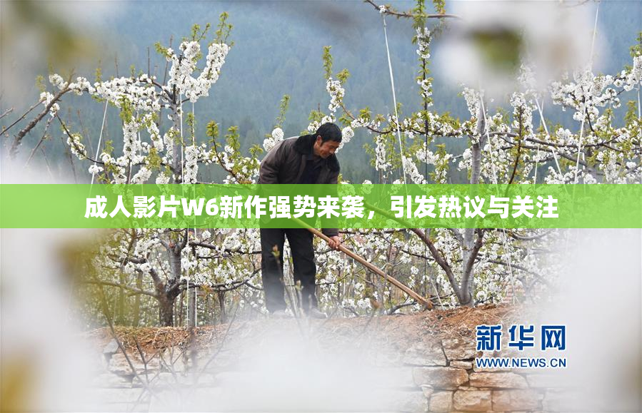 成人影片W6新作强势来袭，引发热议与关注