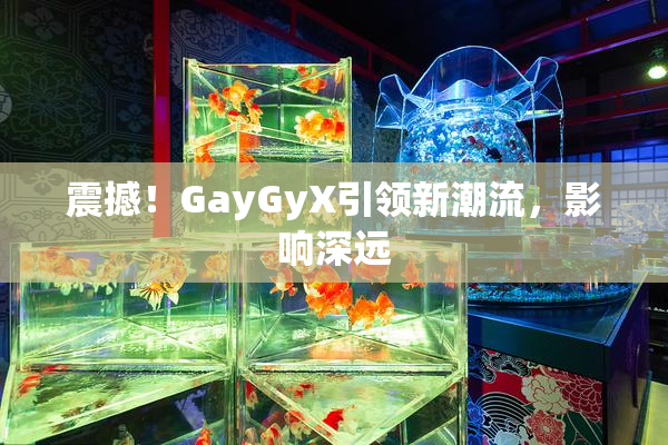 震撼！GayGyX引领新潮流，影响深远