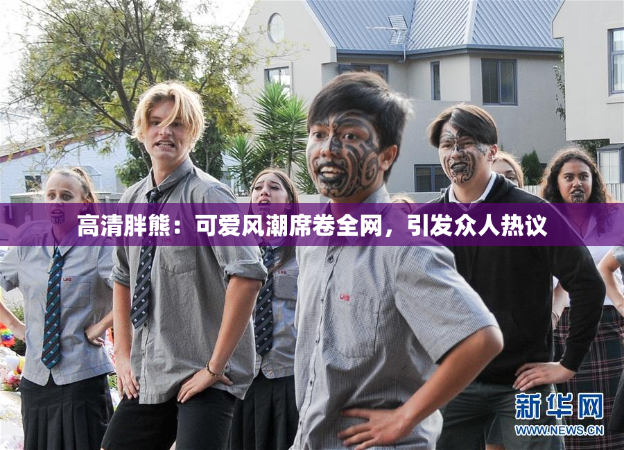 高清胖熊：可爱风潮席卷全网，引发众人热议