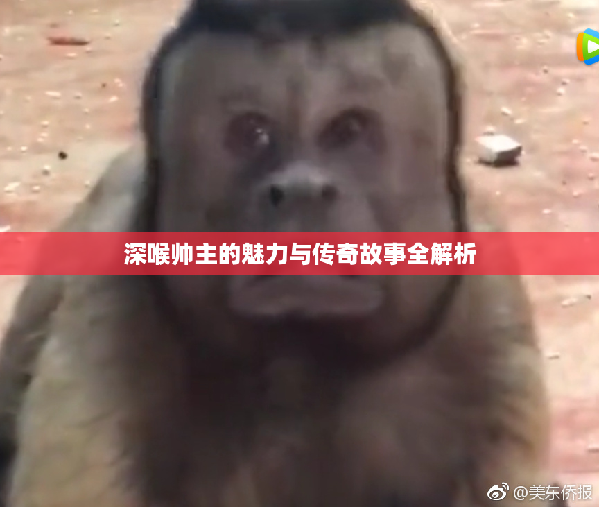 深喉帅主的魅力与传奇故事全解析