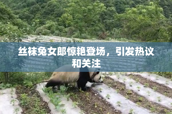 丝袜兔女郎惊艳登场，引发热议和关注