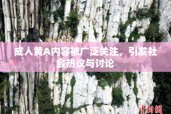 成人黄A内容被广泛关注，引发社会热议与讨论