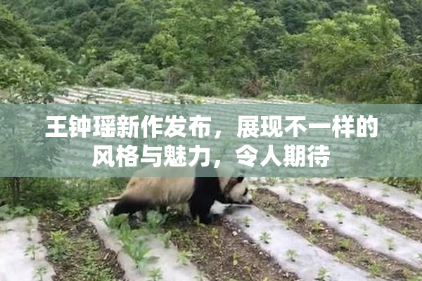 王钟瑶新作发布，展现不一样的风格与魅力，令人期待