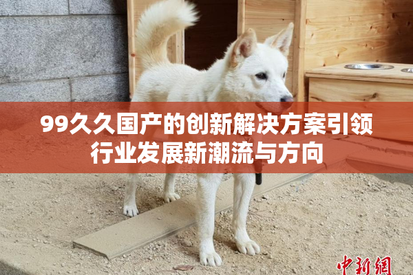 99久久国产的创新解决方案引领行业发展新潮流与方向