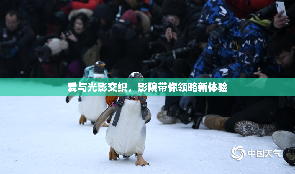 爱与光影交织，影院带你领略新体验