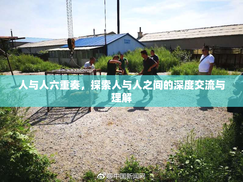 人与人六重奏，探索人与人之间的深度交流与理解