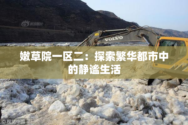 嫩草院一区二：探索繁华都市中的静谧生活