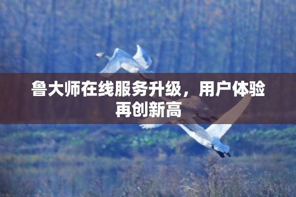 鲁大师在线服务升级，用户体验再创新高