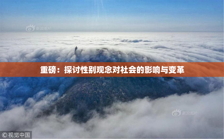 重磅：探讨性别观念对社会的影响与变革