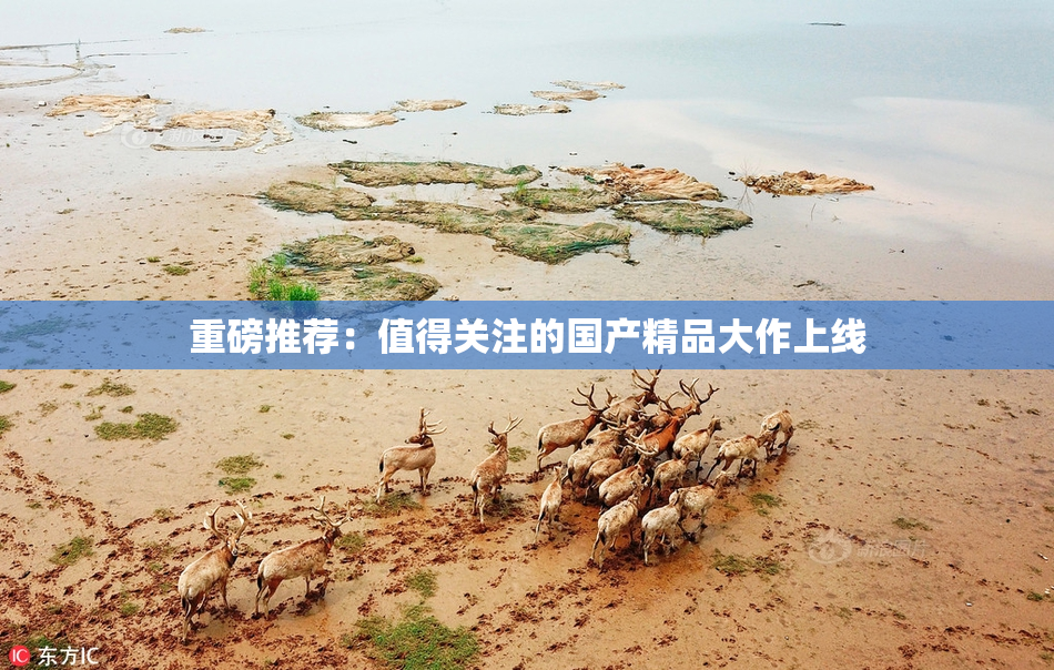 重磅推荐：值得关注的国产精品大作上线