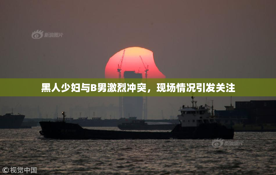 黑人少妇与B男激烈冲突，现场情况引发关注