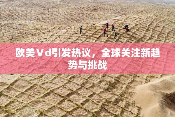 欧美Ⅴd引发热议，全球关注新趋势与挑战