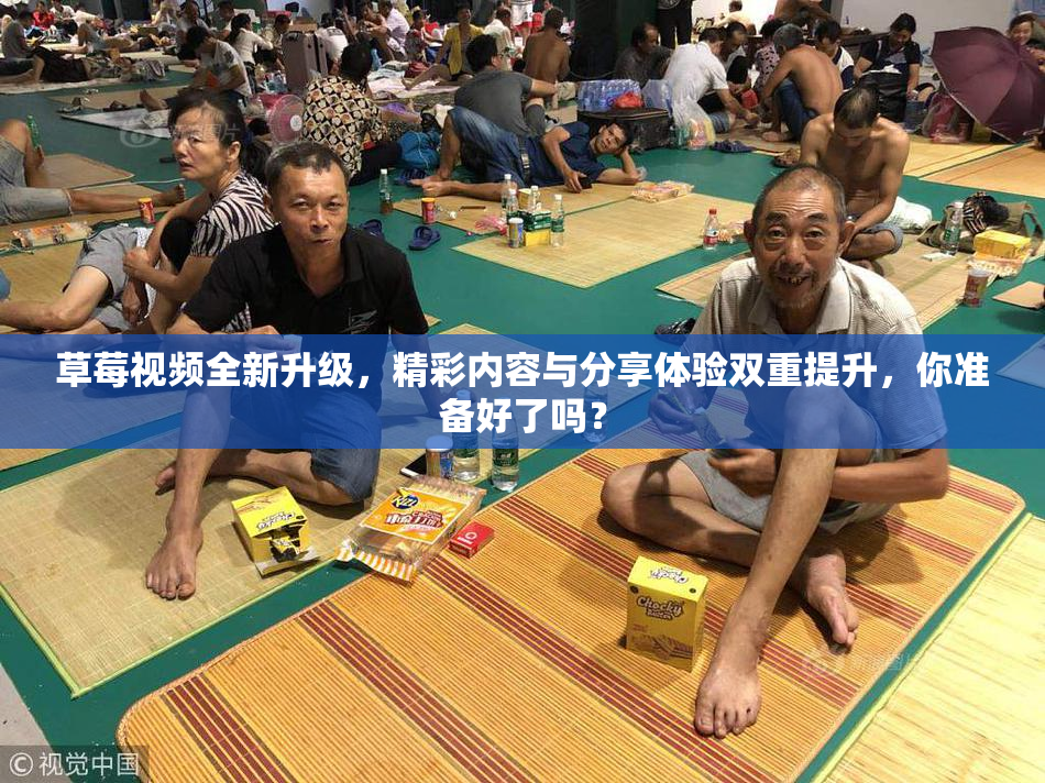草莓视频全新升级，精彩内容与分享体验双重提升，你准备好了吗？