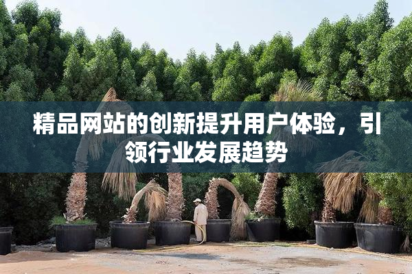 精品网站的创新提升用户体验，引领行业发展趋势
