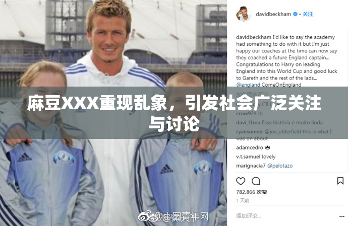 麻豆XXX重现乱象，引发社会广泛关注与讨论